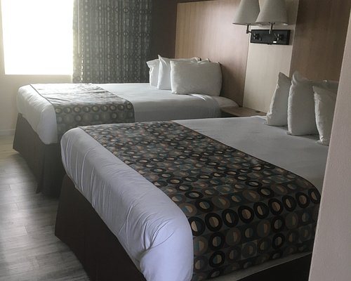 Seahorse Inn — Guest room
