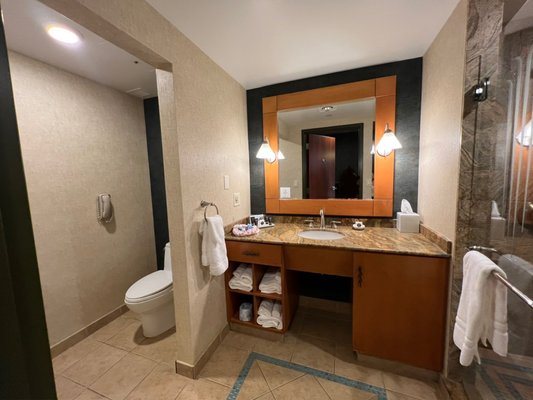 Seneca Niagara Resort Casino — Bathroom