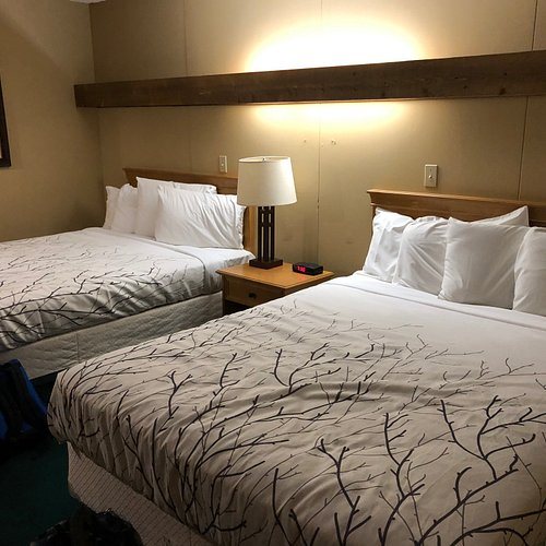Sequoia High Sierra Camp — Guest room