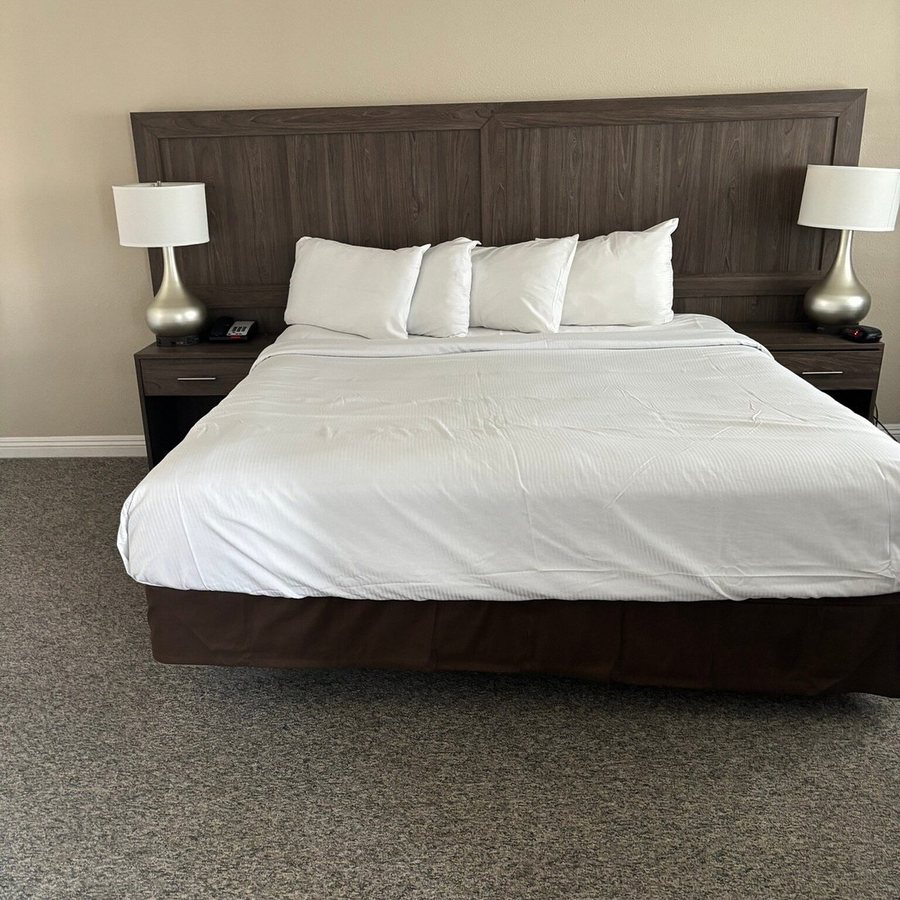 Serene Vegas Boutique Hotel Las Vegas Nevada — Guest room