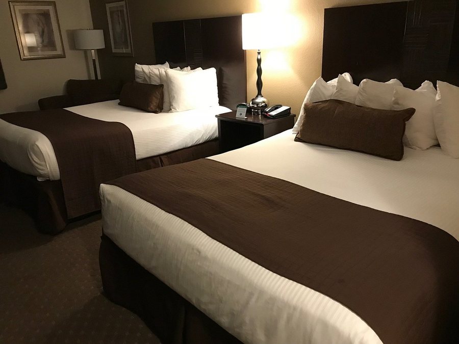 Seville Plaza Hotel Trademark Collection by Wyndham — Guest room
