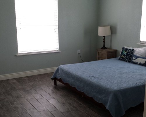 Shadow Palm — Guest room
