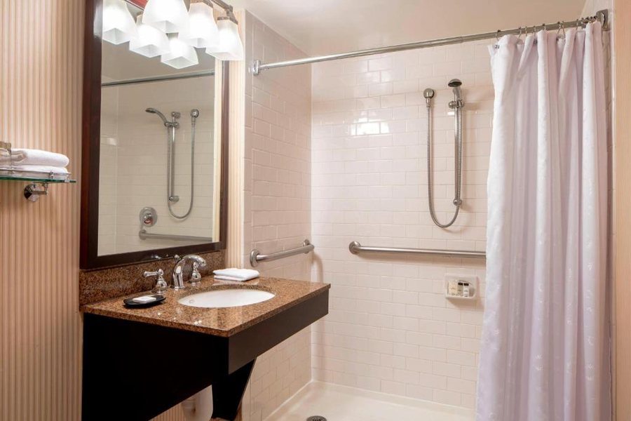 Sheraton Houston Brookhollow Hotel — Bathroom