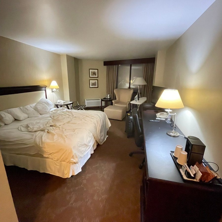 Sheraton Houston Brookhollow Hotel — Guest room