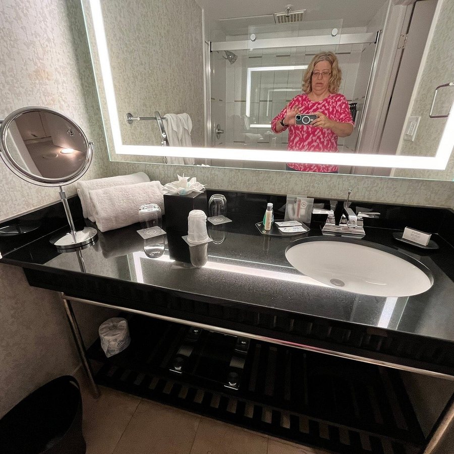 Sheraton Miami Airport Hotel Executive Meeting Center Miami Florida — Bathroom