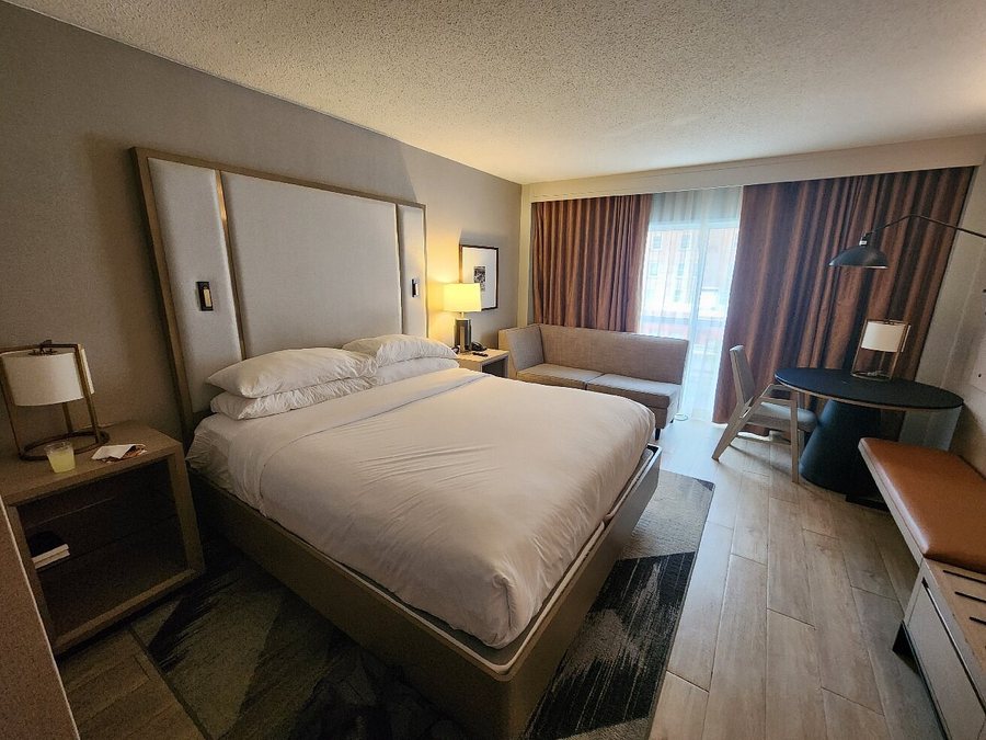 Sheraton Raleigh Hotel — Guest room