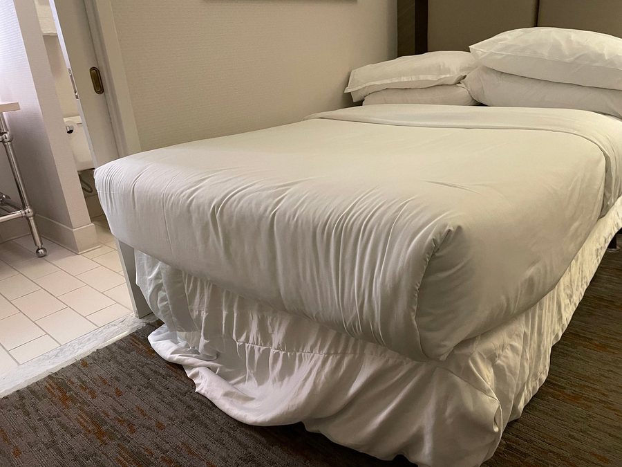 Sheraton Suites Chicago Elk Grove — Guest room