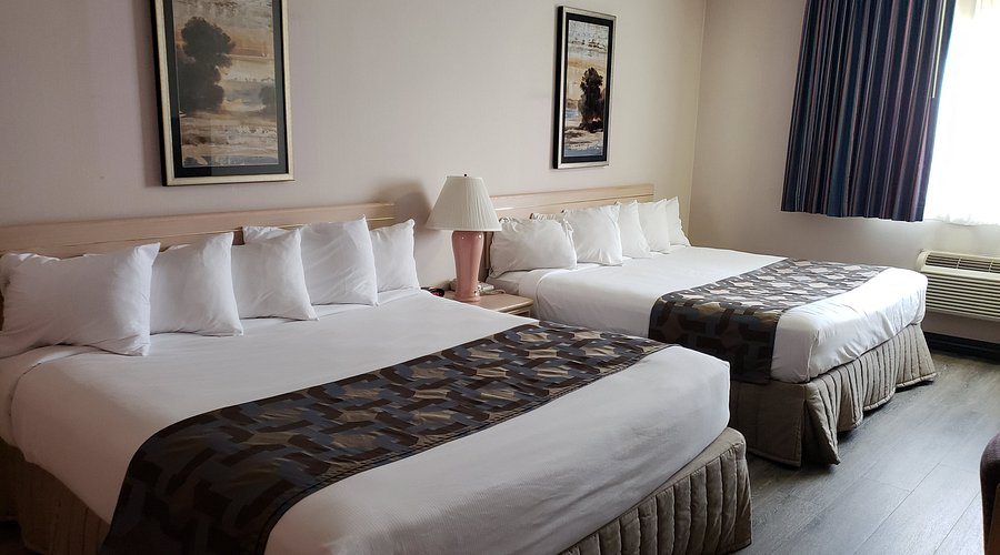 Shilo Inns Elko — Guest room