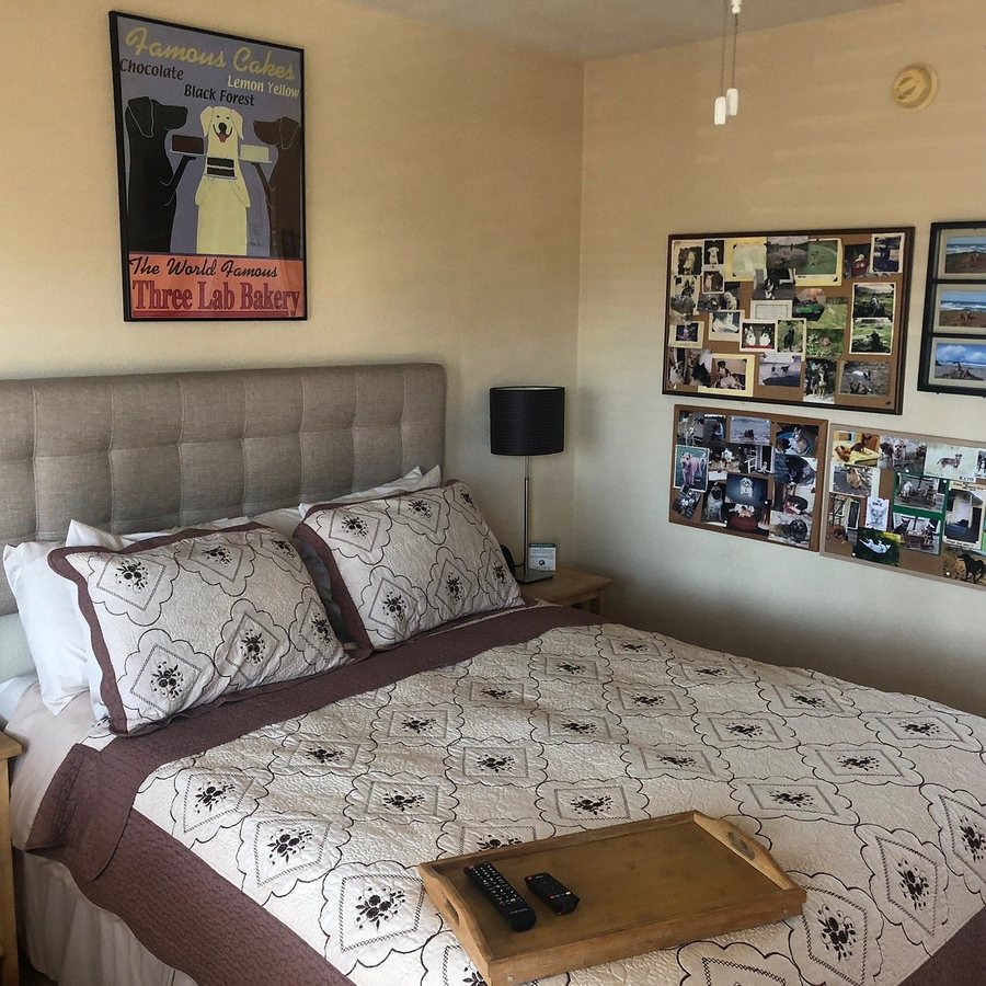Shoreline Cottages — Guest room