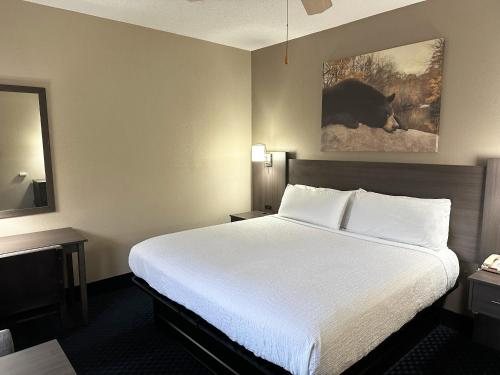 Sidney James Mountain Lodge — Guest room