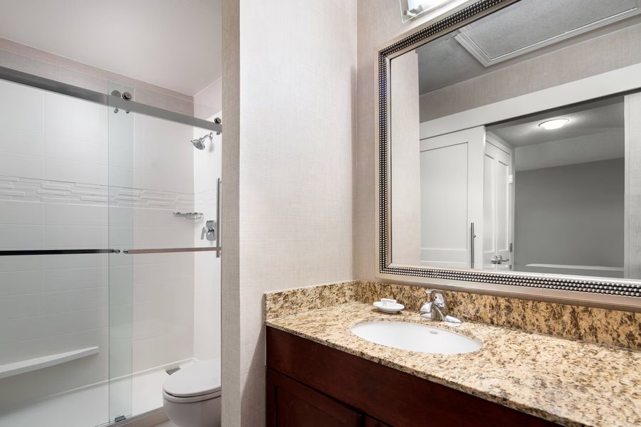 Siegel Select Convention Center Las Vegas Nevada — Bathroom