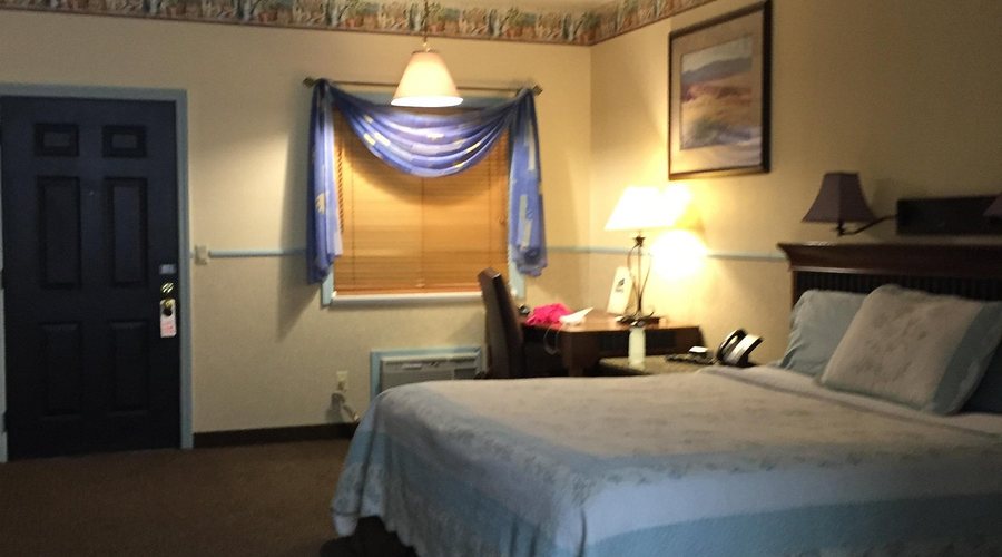 Silver Spruce Motel — Guest room