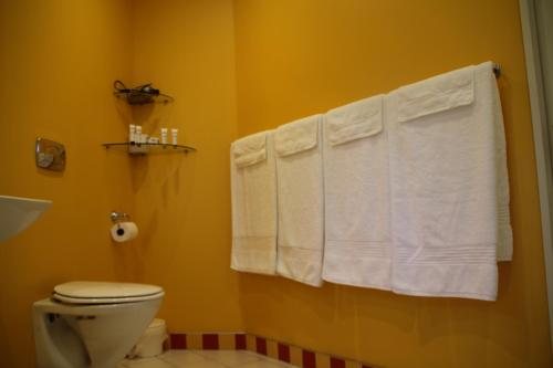 Silverstream Alpaca Farmstay — Bathroom