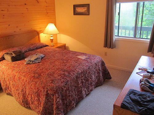 Ski View Mountain Resort — Guest room