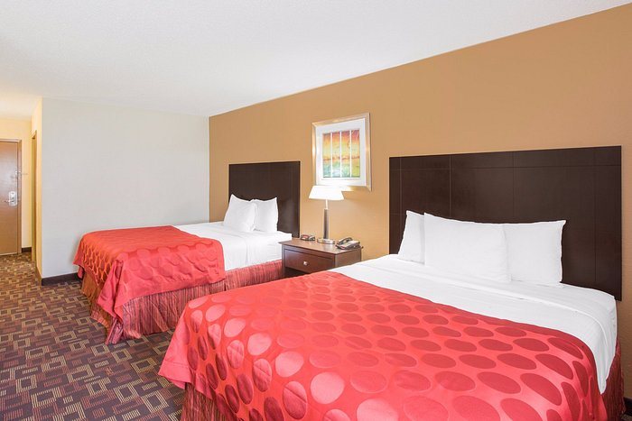 Sky Tree — Guest room