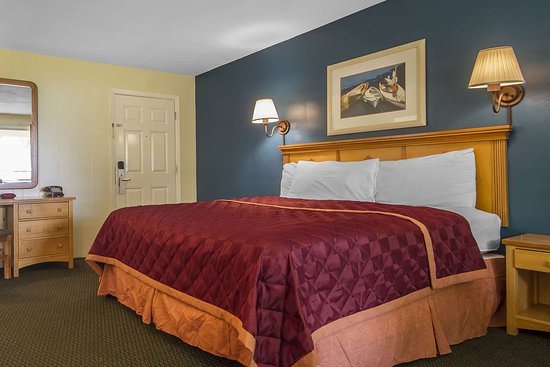 Skylark Shores Resort — Guest room
