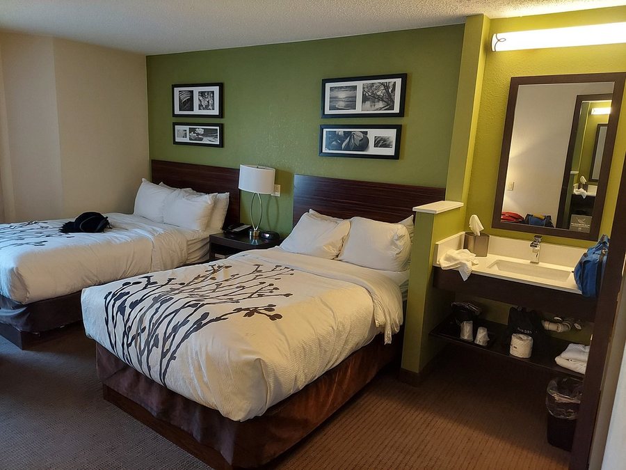 Sleep Inn Allentown Fogelsville — Guest room
