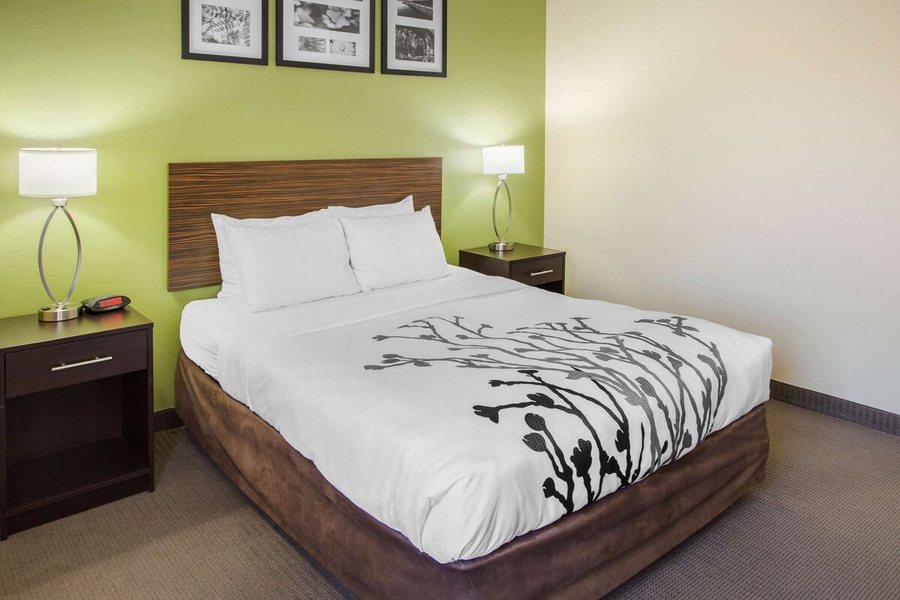 Sleep Inn And Suites — Guest room