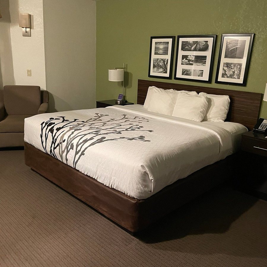 Sleep Inn And Suites — Guest room