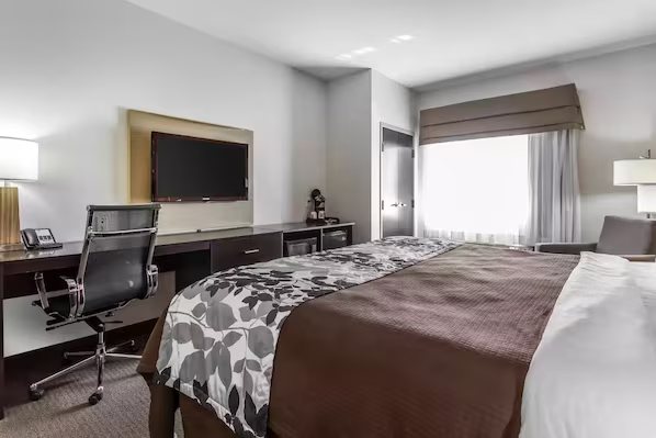 Sleep Inn And Suites Lubbock — Guest room