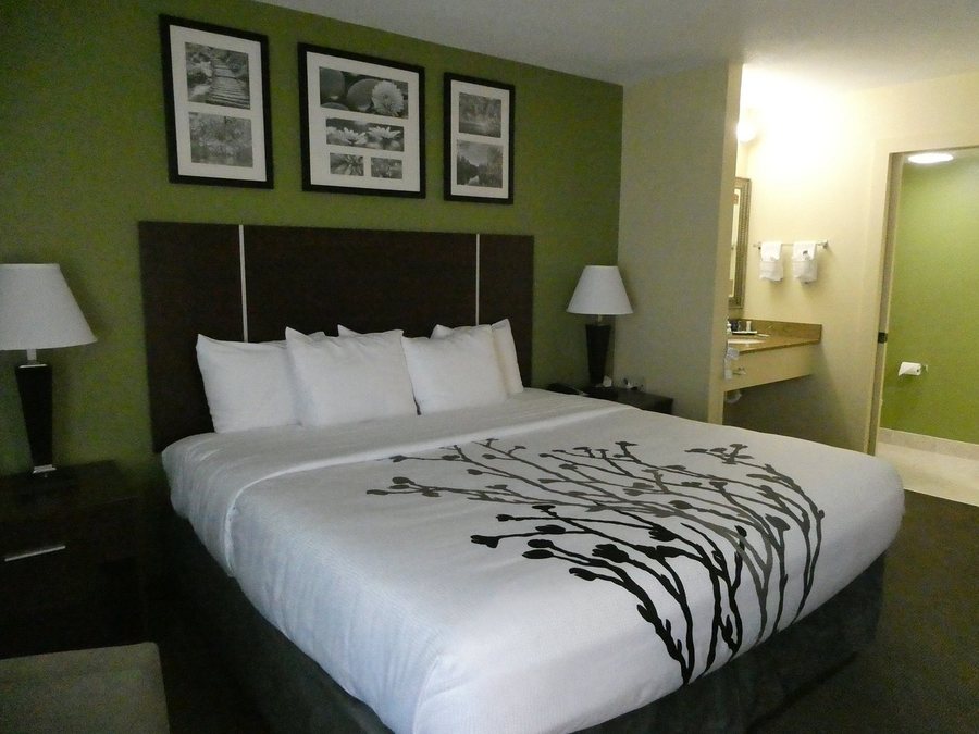 Sleep Inn Asheville Biltmore West — Guest room