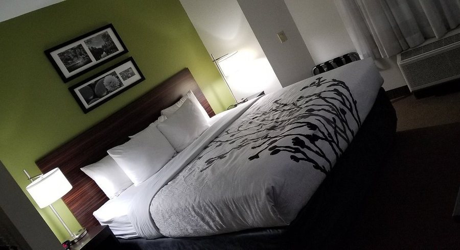 Sleep Inn Baton Rouge East I 12 — Guest room