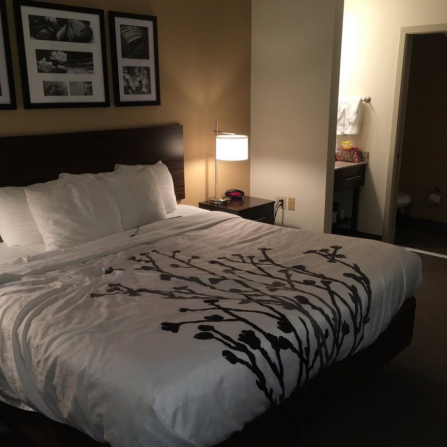 Sleep Inn Bend Crossroads Plaza — Guest room