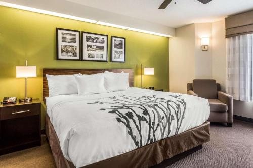 Sleep Inn Charleston West Ashley — Guest room
