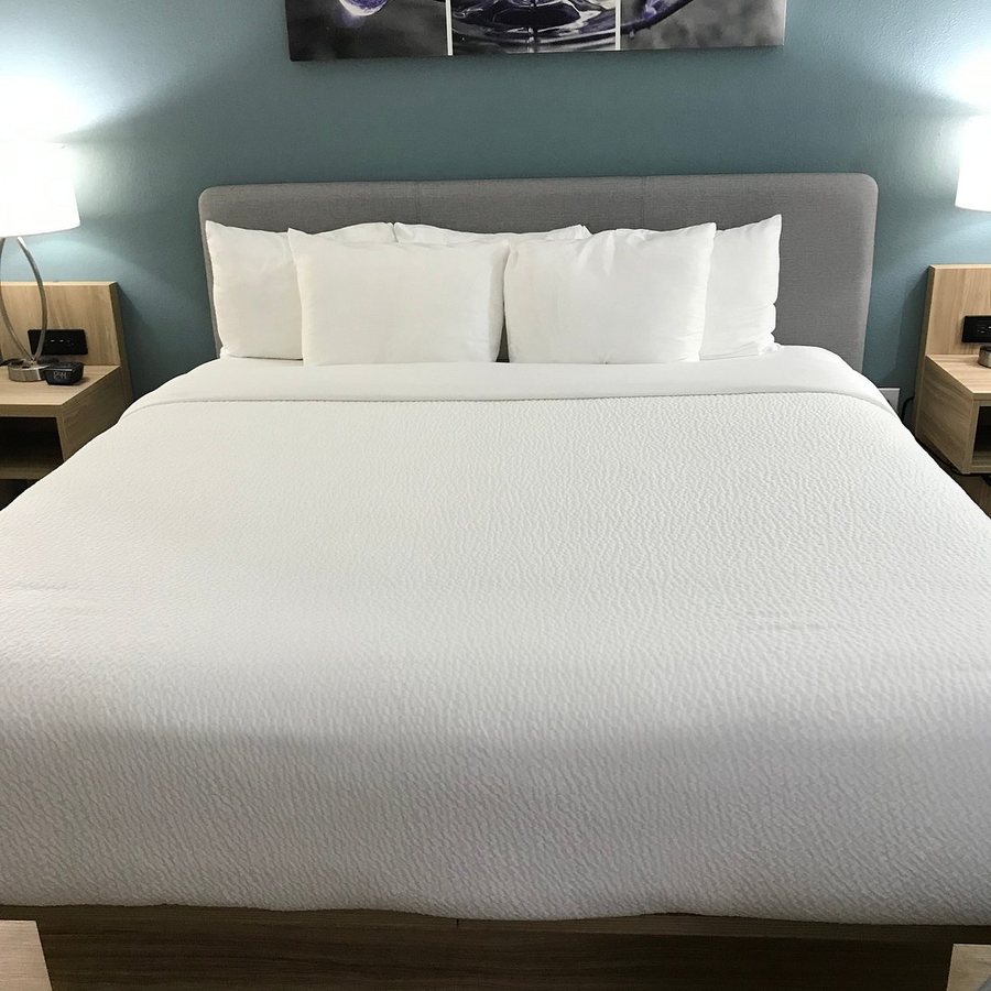 Sleep Inn Clearwater St Petersburg — Guest room