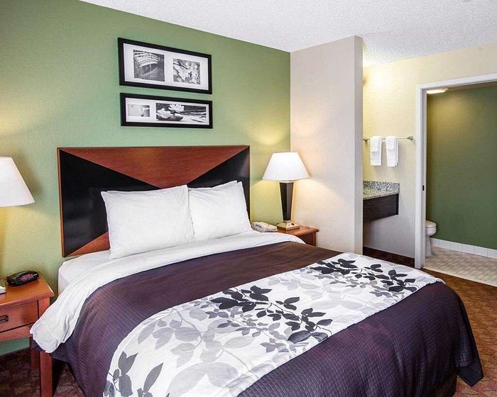 Sleep Inn Denver Tech Center — Guest room
