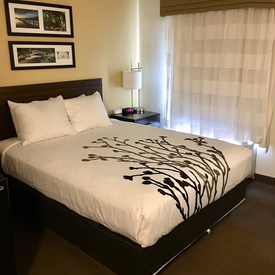Sleep Inn Fayetteville North — Guest room