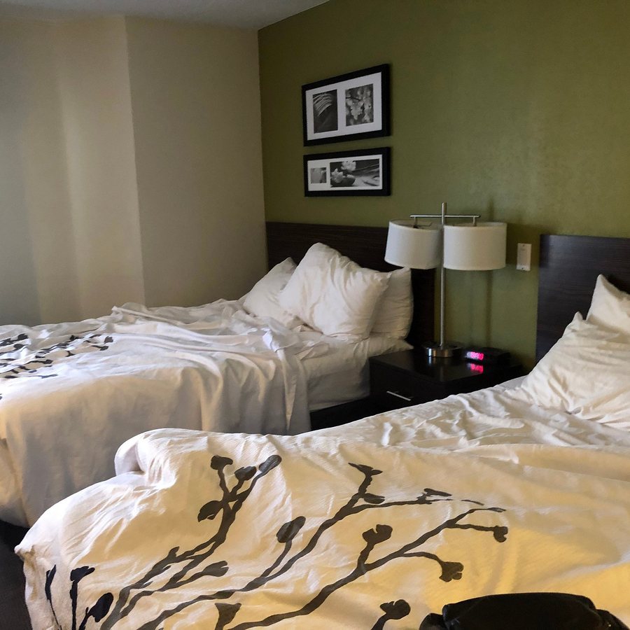 Sleep Inn — Guest room