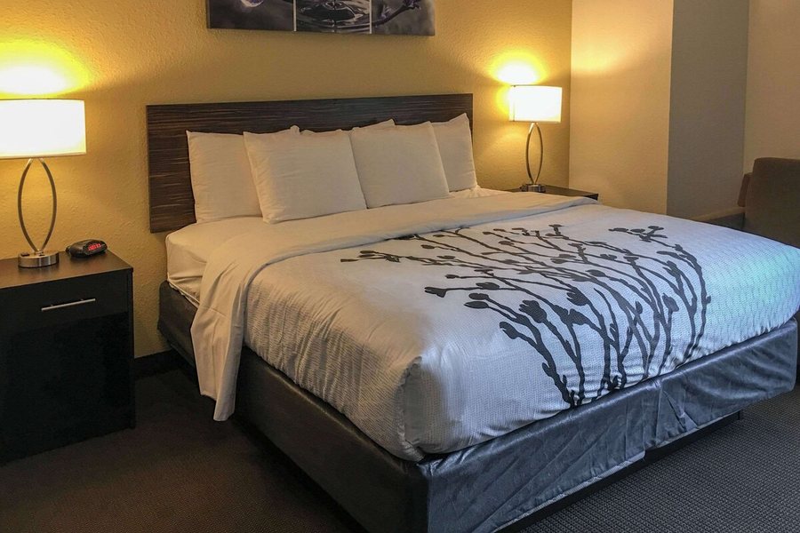 Sleep Inn — Guest room
