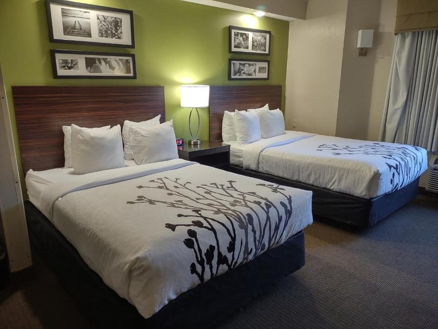 Sleep Inn — Guest room