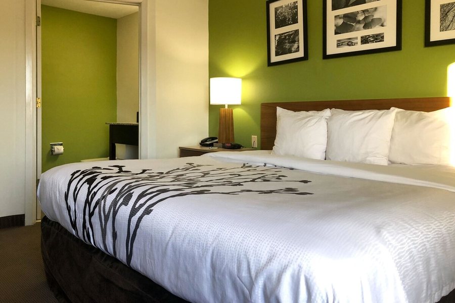 Sleep Inn Hardeeville I 95 — Guest room