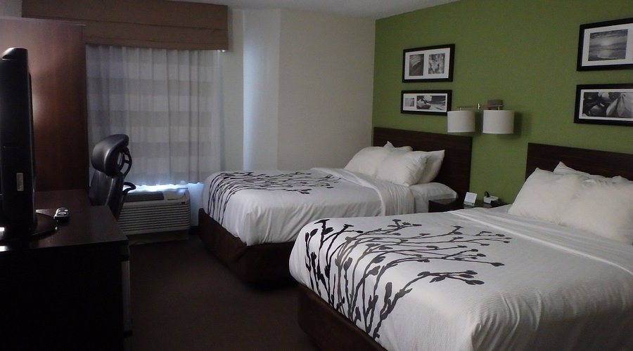 Sleep Inn Historic Williamsburg — Guest room