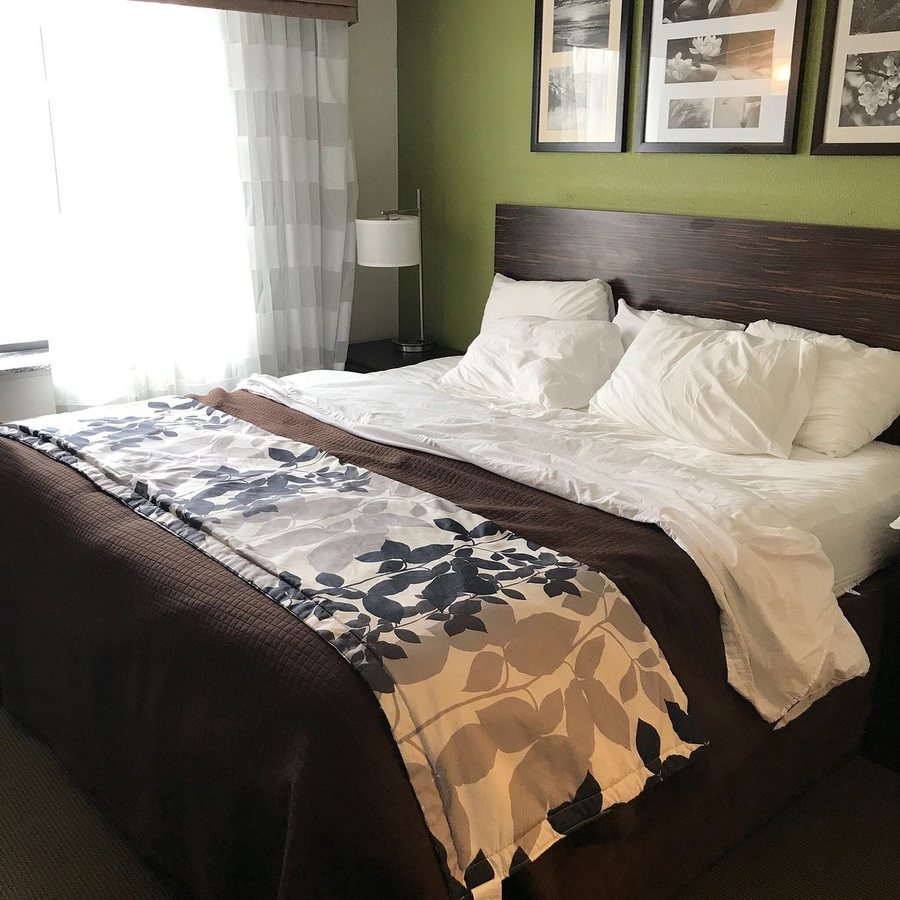 Sleep Inn I 95 North Savannah — Guest room