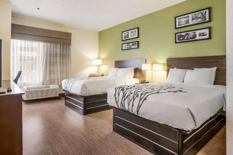 Sleep Inn Jacksonville Airport — Guest room