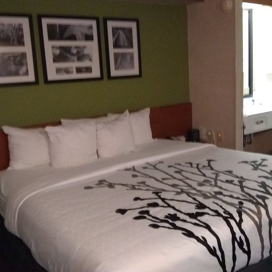 Sleep Inn Murfreesboro Murfreesboro Tennessee — Guest room