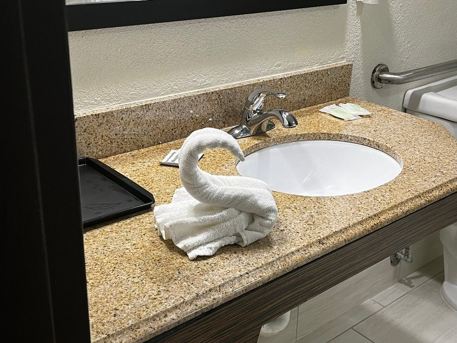 Sleep Inn Near Busch Gardens usf — Bathroom