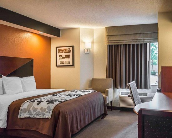 Sleep Inn Near Busch Gardens usf — Guest room