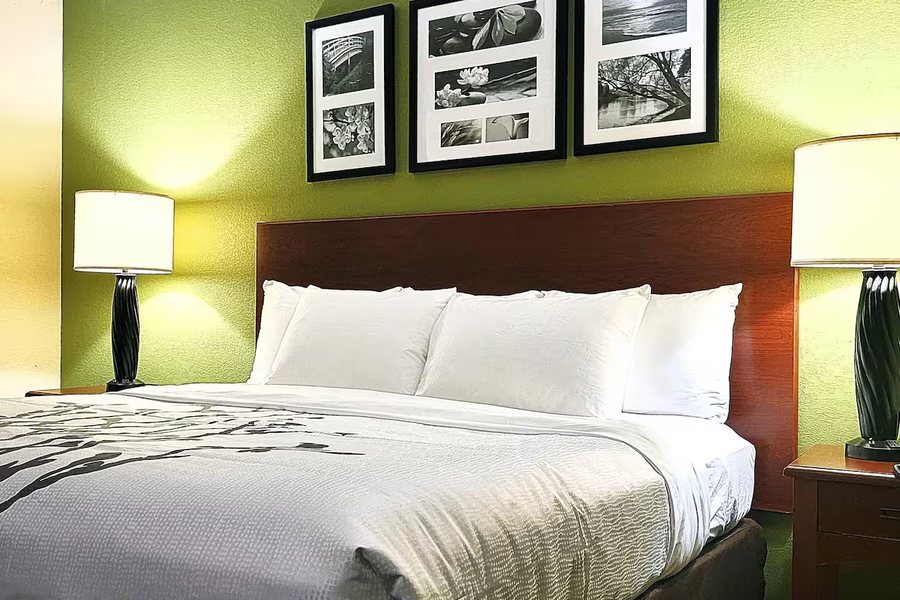 Sleep Inn Near Ft Jackson — Guest room