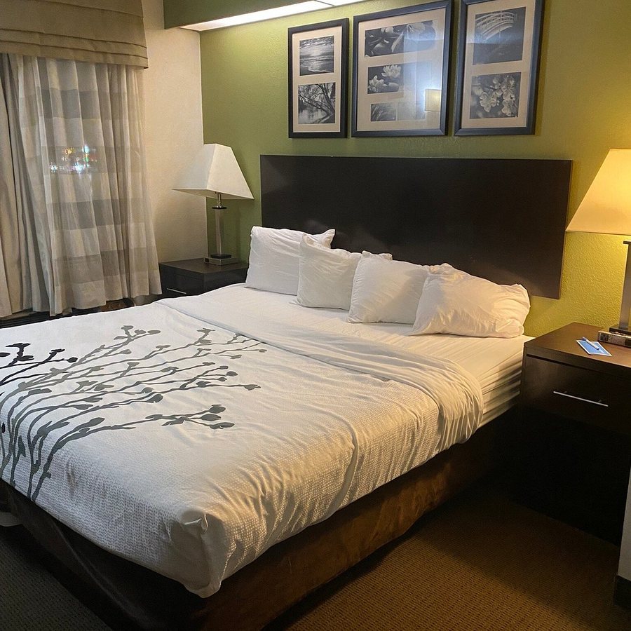 Sleep Inn North Knoxville — Guest room