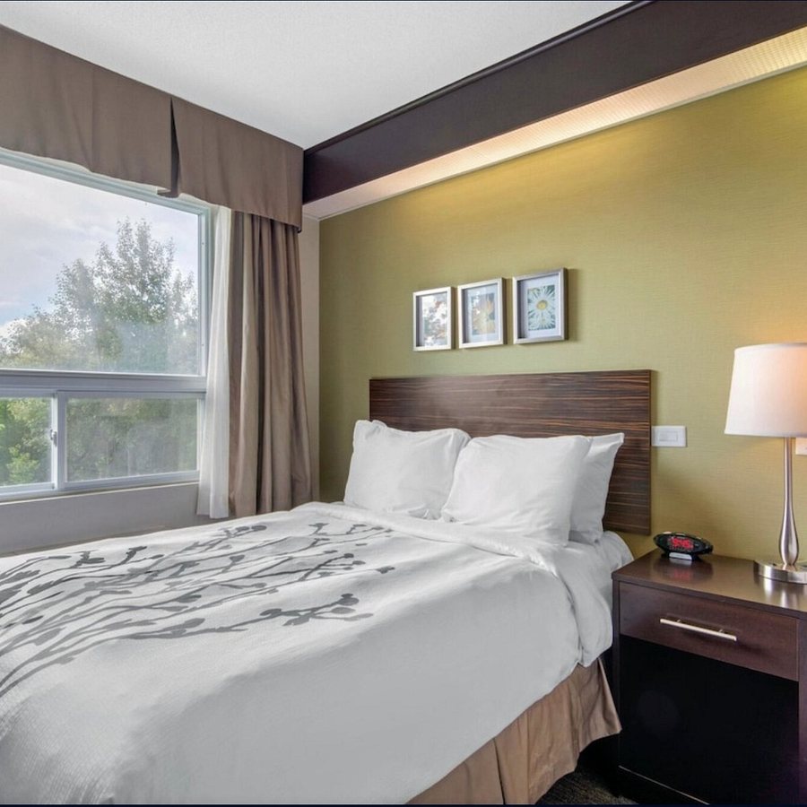 Sleep Inn — Guest room