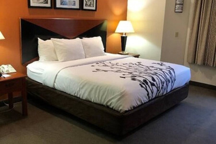 Sleep Inn — Guest room