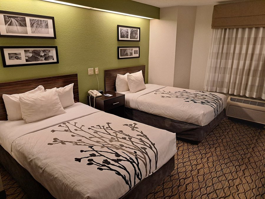 Sleep Inn Rockville — Guest room