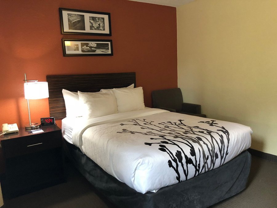 Sleep Inn Sarasota — Guest room