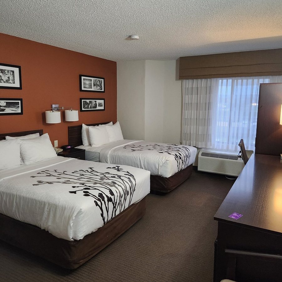 Sleep Inn Springfield South I60 near Medical District — Guest room