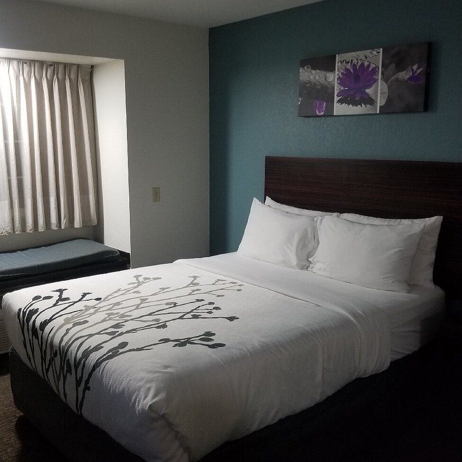 Sleep Inn St Robert Fort Leonard Wood — Guest room