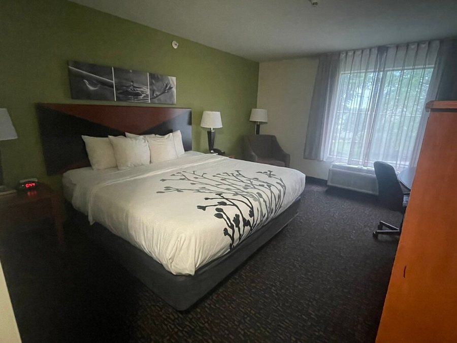 Sleep Inn Suites Airport — Guest room